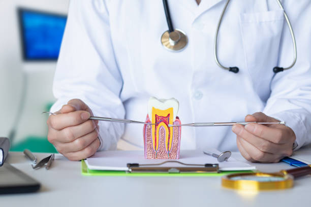 Best Dentist for Tooth Abscess  in Galls, IN